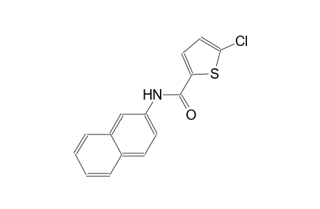 5-chloro-N-(2-naphthyl)-2-thiophenecarboxamide
