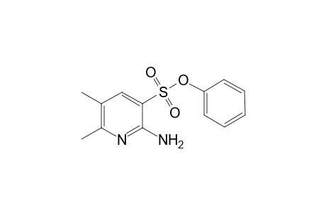 Phenyl 2-Amino-4,6-dimethylpyidine-3-sulfonate