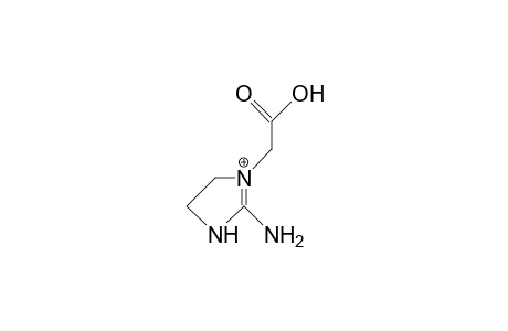 1-Carboxymethyl-2-amino-imidazolidine cation