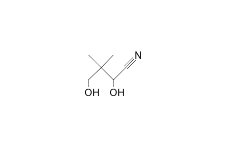 2,4-Dihydroxy-3,3-dimethyl-butanenitrile