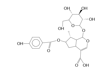 7-O-P-HYDROXYBENZOYL-8-EPILOGANIC ACID