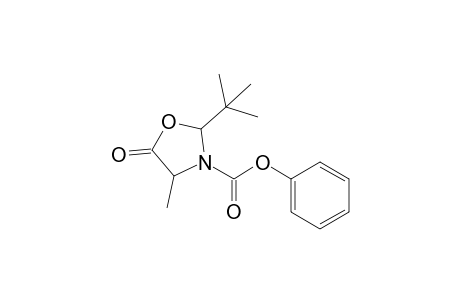 2-(t-Butyl)-3-[(phenyloxy)carbonyl]-4-methyl-1,3-oxazolidin-5-one