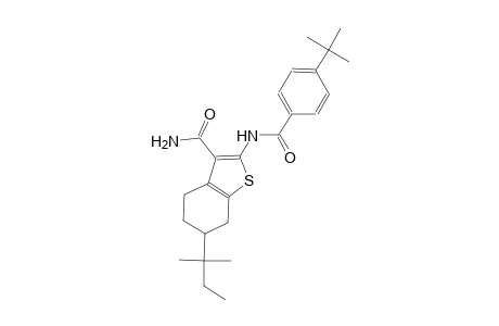 2-[(4-tert-butylbenzoyl)amino]-6-tert-pentyl-4,5,6,7-tetrahydro-1-benzothiophene-3-carboxamide