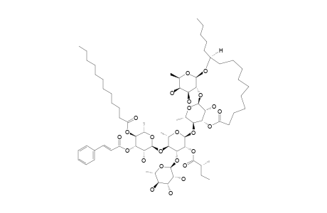 BATATINOSIDE_I