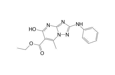 [1,2,4]triazolo[1,5-a]pyrimidine-6-carboxylic acid, 5-hydroxy-7-methyl-2-(phenylamino)-, ethyl ester