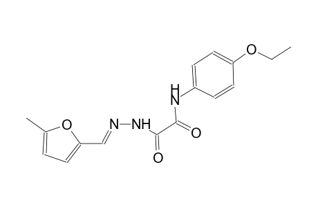 N-(4-ethoxyphenyl)-2-{(2E)-2-[(5-methyl-2-furyl)methylene]hydrazino}-2-oxoacetamide