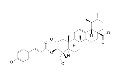 2-ALPHA,23-DIHYDRXY-3-BETA-(TRANS-PARA-COUMAROYLOXY)-URS-12-EN-28-OIC_ACID