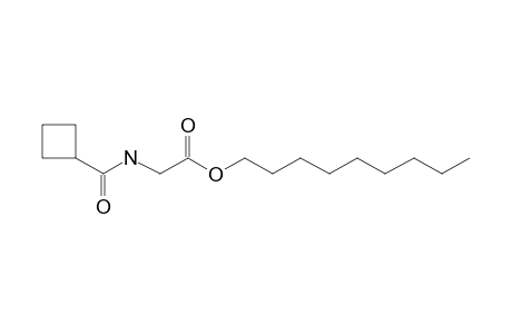 Glycine, N-(cyclobutylcarbonyl)-, nonyl ester