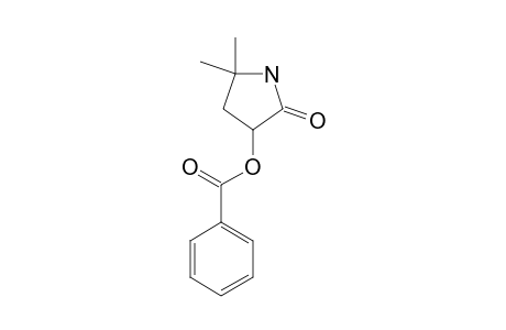 3-BENZOYLOXY-5,5-DIMETHYL-PYRROLIDIN-2-ONE