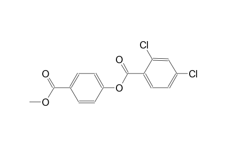 4-(methoxycarbonyl)phenyl 2,4-dichlorobenzoate