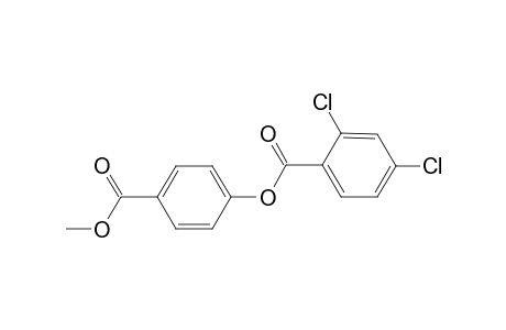 4-(methoxycarbonyl)phenyl 2,4-dichlorobenzoate