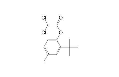 2-tert-Butyl-4-methylphenyl dichloroacetate
