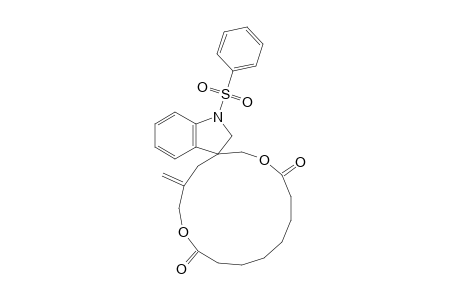 Spiro[3-Methylene-1,7-dioxacyclopentadeca-8,15-dione-5,3'-1'-(phenylsulfonyl)-2,3-dihydroindole]