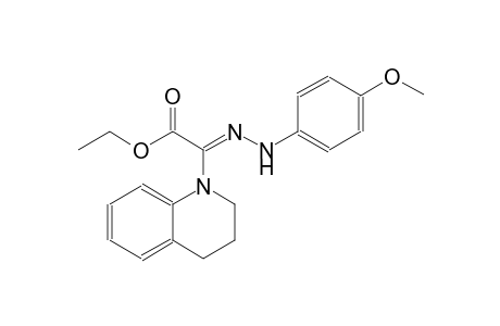 ethyl (2Z)-3,4-dihydro-1(2H)-quinolinyl[(4-methoxyphenyl)hydrazono]ethanoate