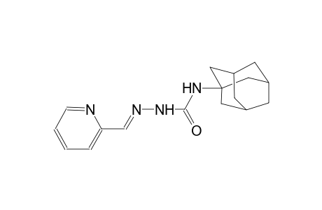 2-pyridinecarbaldehyde N-(1-adamantyl)semicarbazone