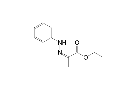(2Z)-2-(phenylhydrazinylidene)propanoic acid ethyl ester