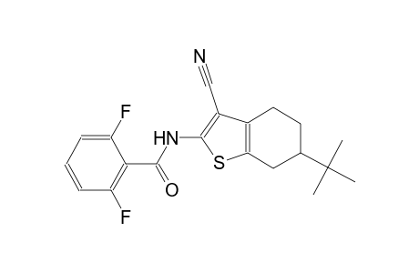 N-(6-tert-butyl-3-cyano-4,5,6,7-tetrahydro-1-benzothien-2-yl)-2,6-difluorobenzamide