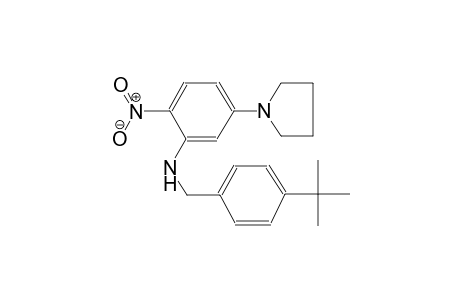 benzenemethanamine, 4-(1,1-dimethylethyl)-N-[2-nitro-5-(1-pyrrolidinyl)phenyl]-