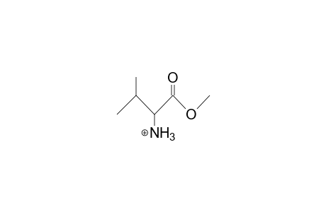 Valine methyl ester cation