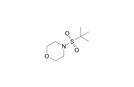 4-Morpholinyl tert-butyl sulfone
