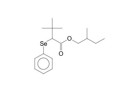 3,3-Dimethyl-2-(phenylselenyl)butanoic acid, 2-methylbutyl ester