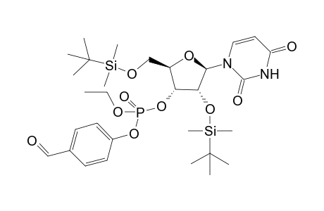 2',5'-Di(tert-butyldimethylsilyl)-3'-ethyl (4-formylphenyl phosphate)uridine