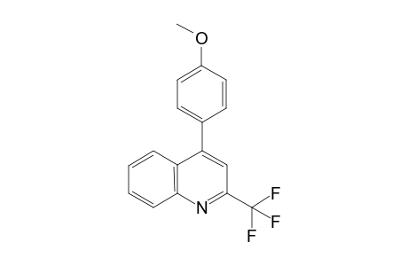 4-(4-Methoxyphenyl)-2-(trifluoromethyl)quinoline