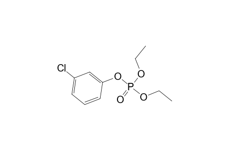3-Chlorophenyl diethyl phosphate