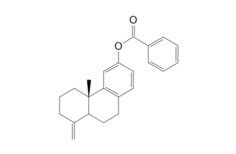 12-Benzoyloxy-19-norpodocarpa-4(18),8,11,13-tetraene