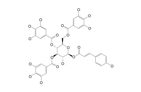 1-O-(E)-COUMAROYL-3,4,6-TRIGALLOYL-BETA-D-GLUCOPYRANOSIDE