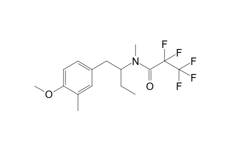 2,2,3,3,3-pentafluoro-N-(1-(4-methoxy-3-methylphenyl)butan-2-yl)-N-methylpropanamide