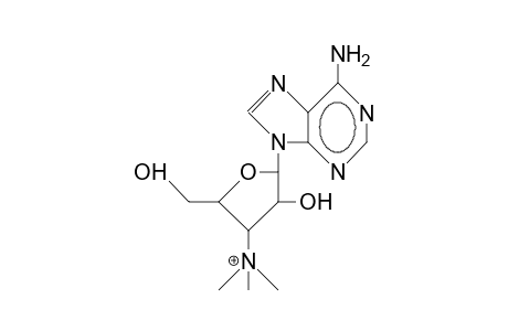 3'-N,N,N-Trimethylammonium-3'-deoxy-adenosine cation
