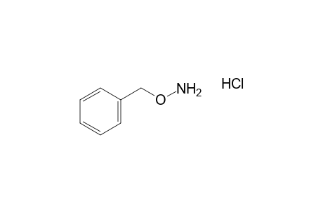 O-Benzylhydroxylamine hydrochloride