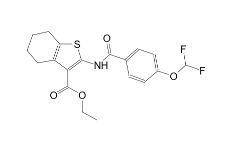 ethyl 2-{[4-(difluoromethoxy)benzoyl]amino}-4,5,6,7-tetrahydro-1-benzothiophene-3-carboxylate
