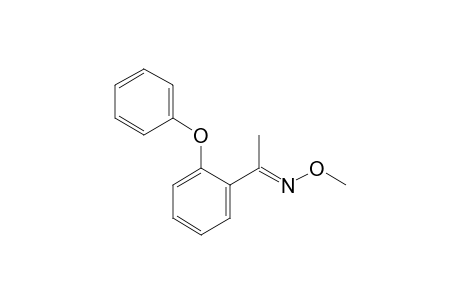 (E)-methoxy-[1-(2-phenoxyphenyl)ethylidene]amine