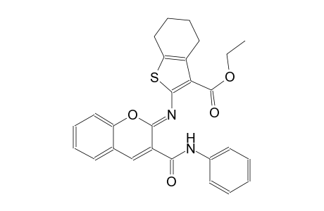 ethyl 2-{[(2Z)-3-(anilinocarbonyl)-2H-chromen-2-ylidene]amino}-4,5,6,7-tetrahydro-1-benzothiophene-3-carboxylate