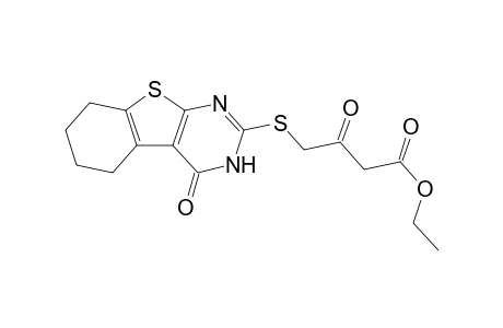 Ethyl 2-[(4'-oxo-5',6',7',8'-tetrahydrobenzo[4,5]thieno[2,3-d]pyrimidin-2'-yl)thio]-3-oxobutanoate