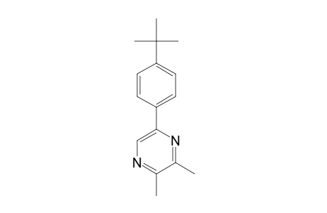 5-(4-tert-Butylphenyl)-2,3-dimethylpyrazine