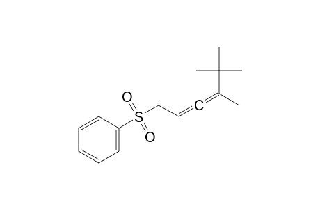 4,5,5-Trimethyl-1-phenylsulfonyl-2,3-hexadiene