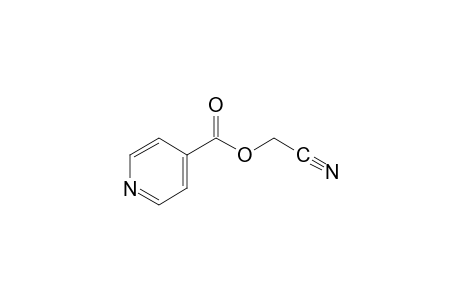 isonicotinic acid, cyanomethyl ester