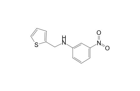 3-Nitro-N-(2-thienylmethyl)aniline