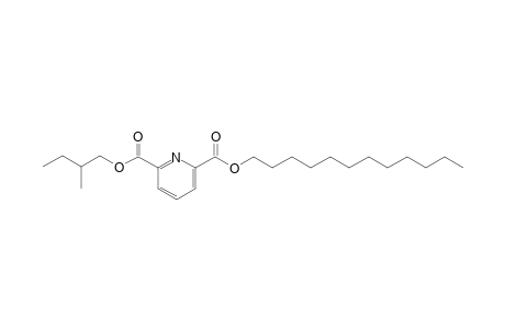 2,6-Pyridinedicarboxylic acid, dodecyl 2-methylbutyl ester