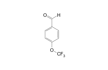 4-Trifluoromethoxy-benzaldehyde