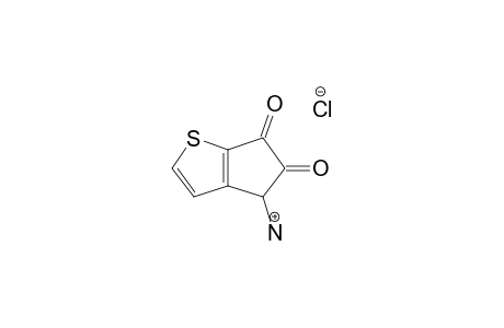 5,6-DIOXO-5,6-DIHYDRO-4H-CYCLOPENTA-[B]-THIOPHEN-4-YLAMMONIUM-CHLORIDE