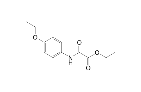 Acetic acid, [(4-ethoxyphenyl)amino]oxo-, ethyl ester
