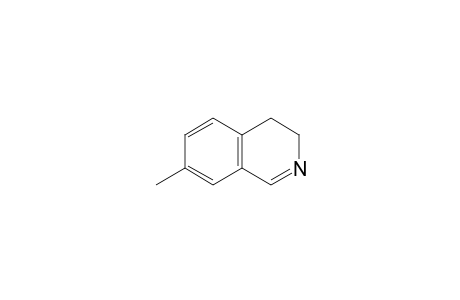 3,4-DIHYDRO-7-METHYLISOQUINOLINE