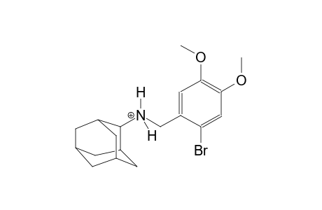 N-(2-bromo-4,5-dimethoxybenzyl)-2-adamantanaminium