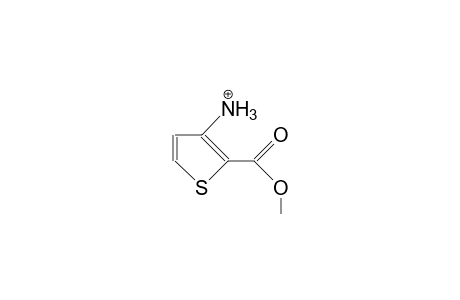 3-Amino-2-thiophenecarboxylic acid, methyl ester cation