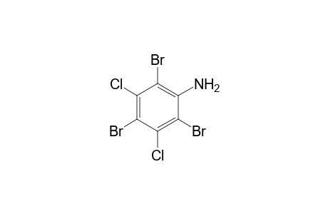 Benzenamine, 2,4,6-tribromo-3,5-dichloro-