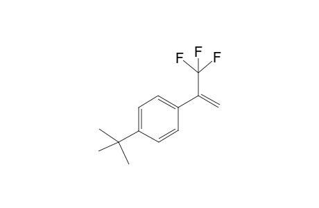 1-(tert-Butyl)-4-(3,3,3-trifluoroprop-1-en-2-yl)benzene